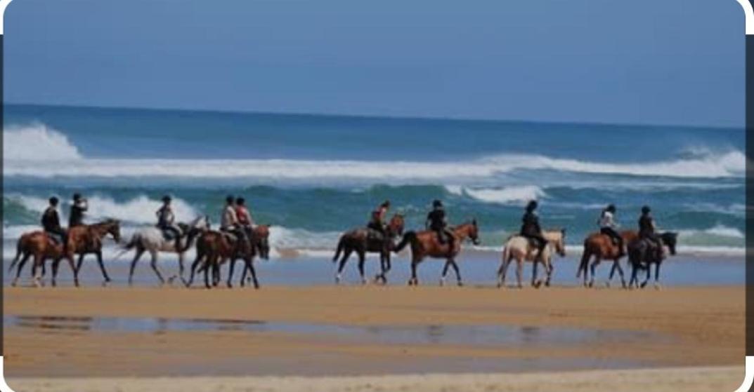 Hebergement Bord De Mer คาซาบลังกา ภายนอก รูปภาพ